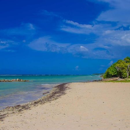 Malibu Ocean View Studio Apartment Montego Bay Exterior photo