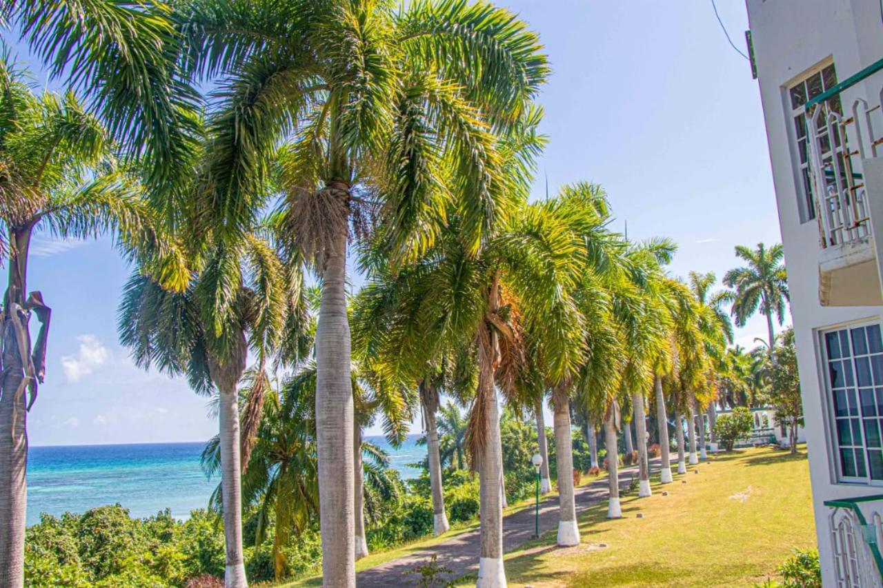 Malibu Ocean View Studio Apartment Montego Bay Exterior photo